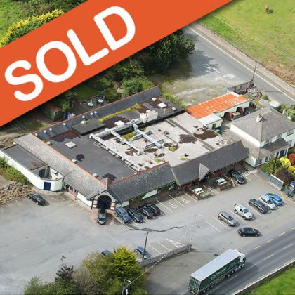 Younges-The-Ragg-Bouladuff-Thurles-Co.-Tipperary Sold
